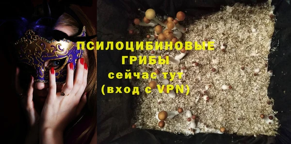 эйфоретик Алзамай