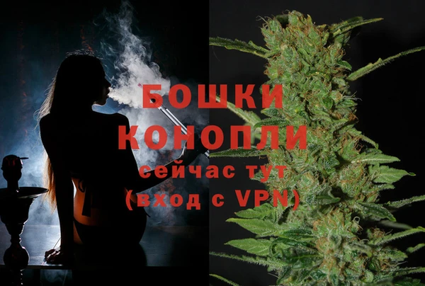 PSILOCYBIN Абаза