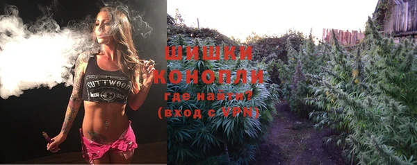 PSILOCYBIN Абаза