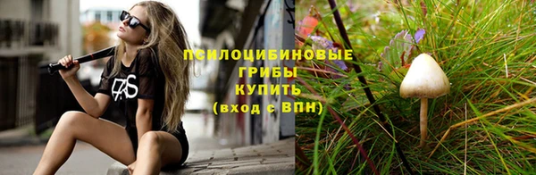 эйфоретик Алзамай
