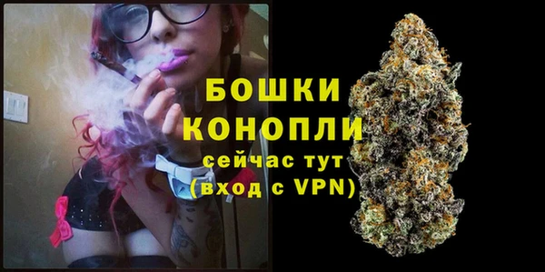 PSILOCYBIN Абаза
