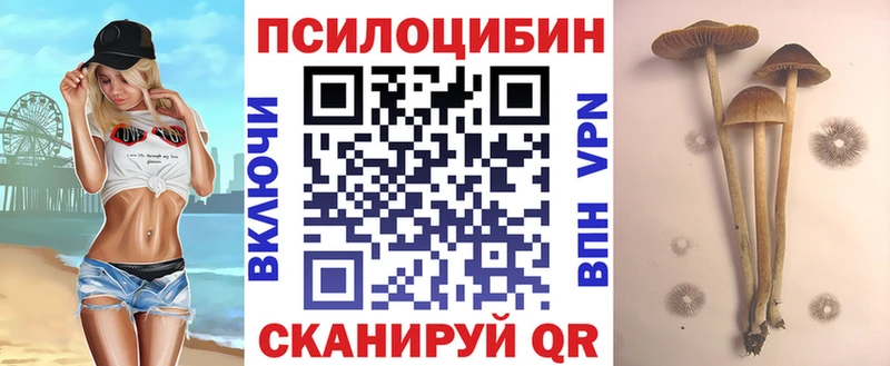 Галлюциногенные грибы MAGIC MUSHROOMS  сколько стоит  MEGA tor  мориарти официальный сайт  Уржум 